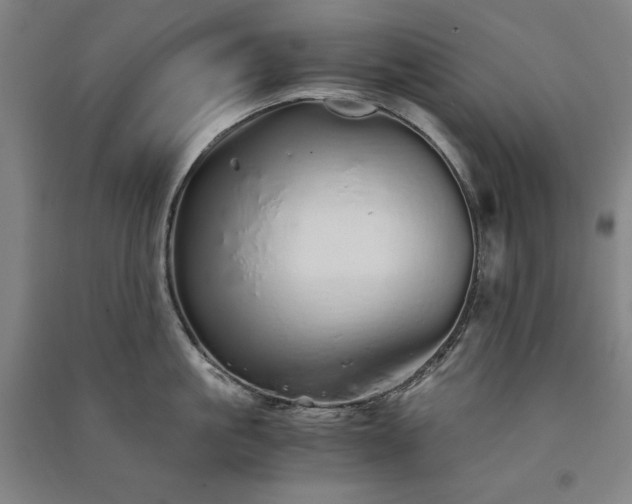 X0000091340861200708171409