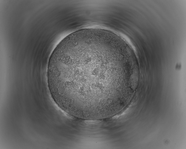 X0000091340863200708171409