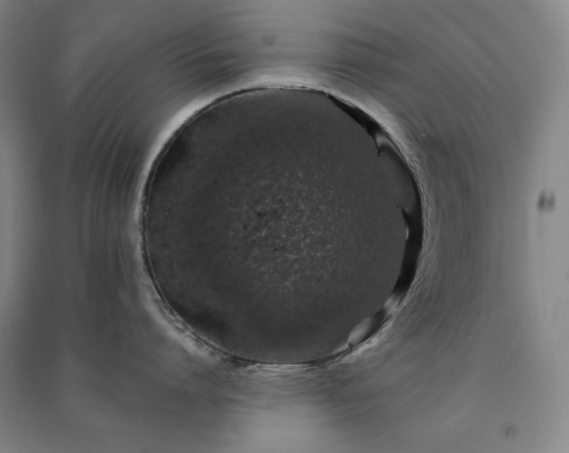 X0000091340864200708171409