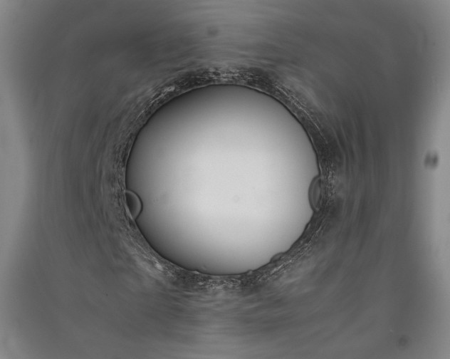 X0000091340865200708171409