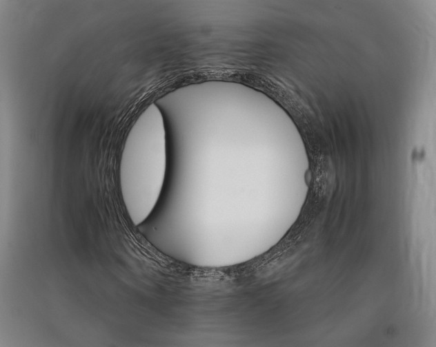 X0000091340866200708171409