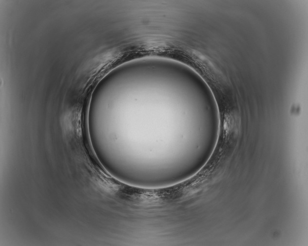 X0000091340867200708171409