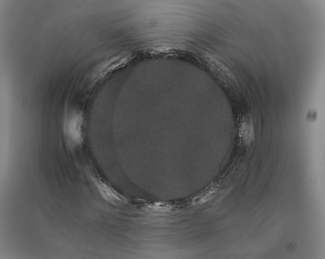 X0000091340868200708171409