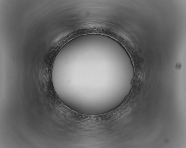 X0000091340869200708171409