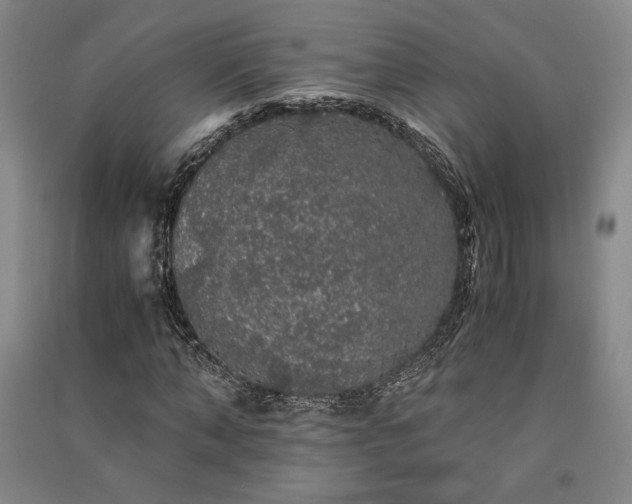 X0000091340870200708171409