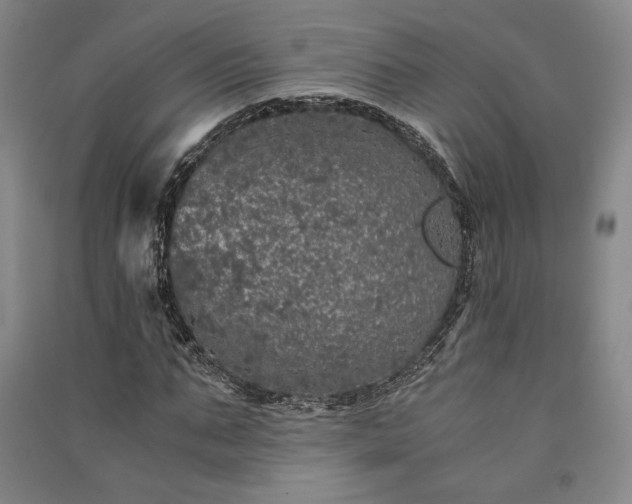 X0000091340871200708171409