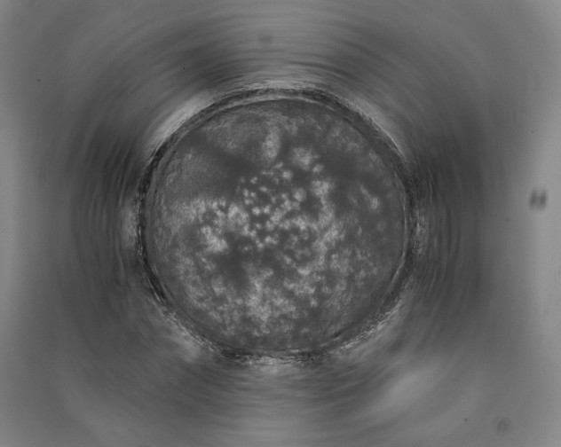 X0000091340874200708171409