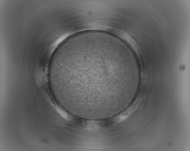 X0000091340875200708171409