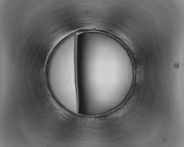 X0000091340876200708171409