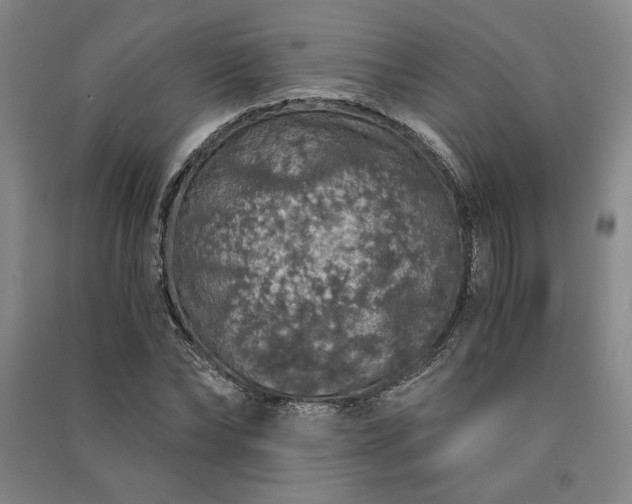 X0000091340878200708171409