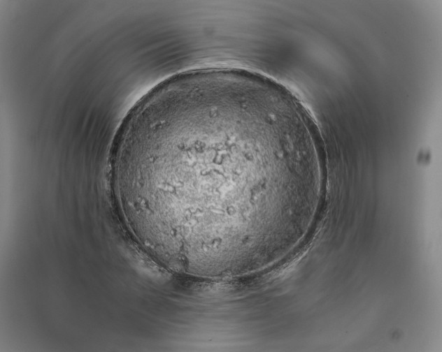 X0000091340879200708171409