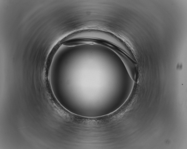 X0000091340880200708171409