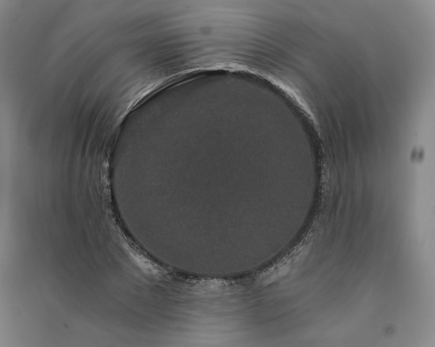 X0000091340881200708171409