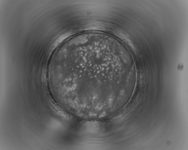 X0000091340882200708171409