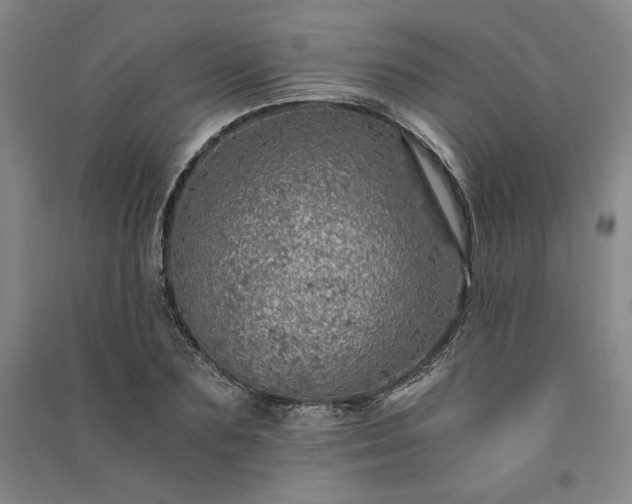 X0000091340883200708171409