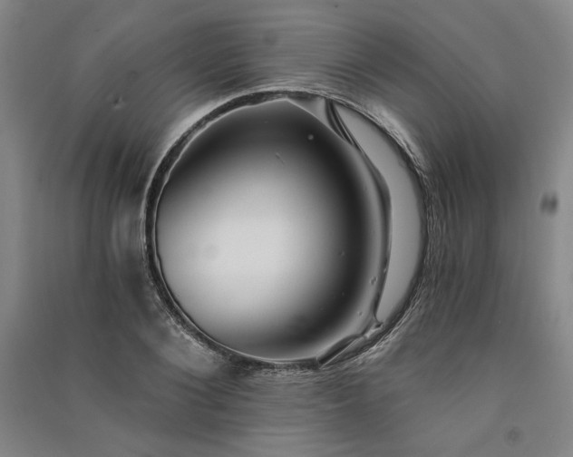 X0000091340884200708171409