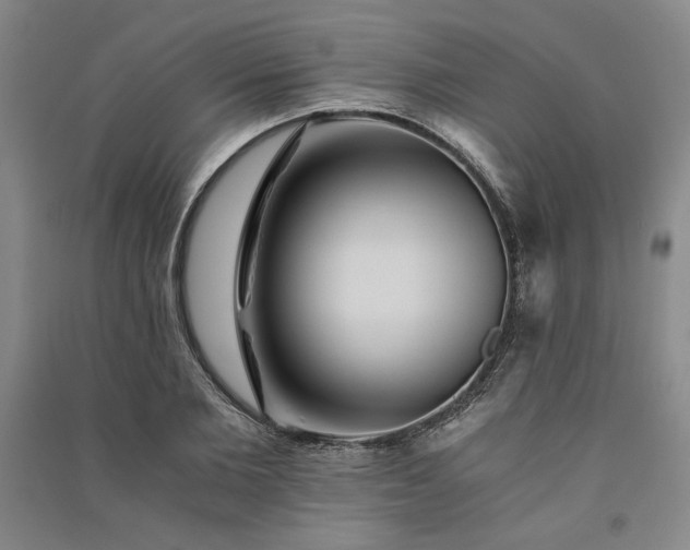 X0000091340885200708171409