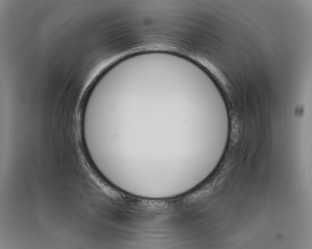 X0000091340886200708171409