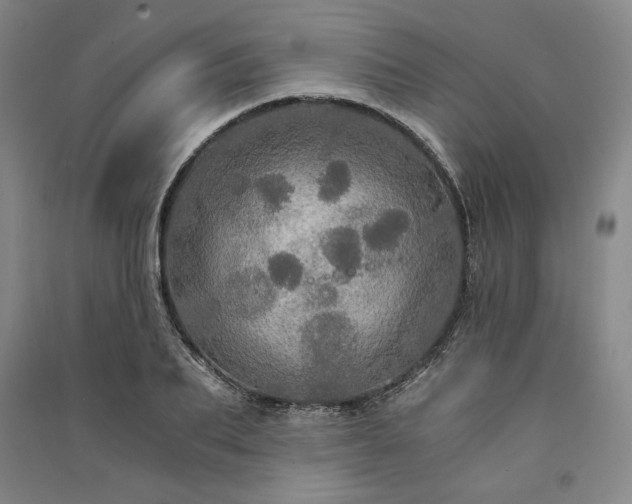 X0000091340887200708171409