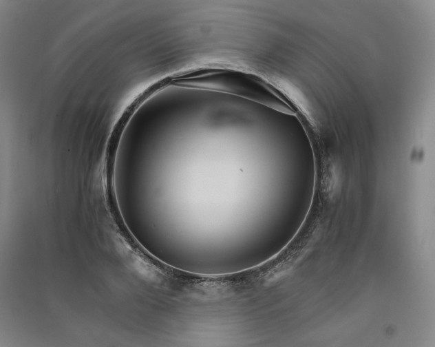 X0000091340888200708171409