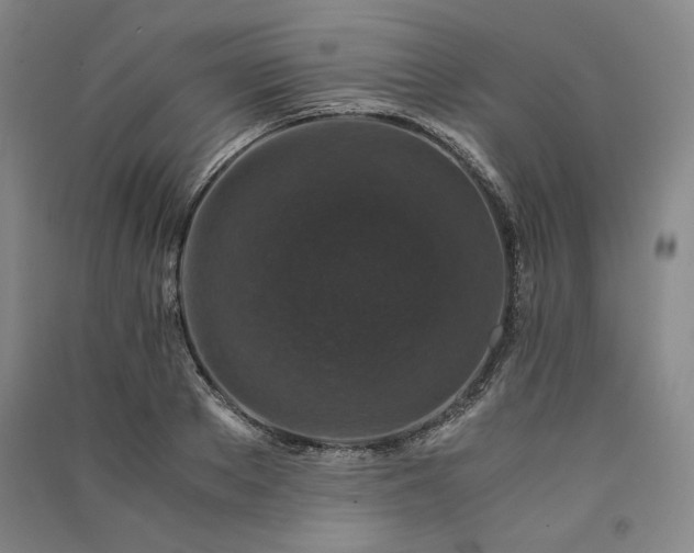 X0000091340889200708171409