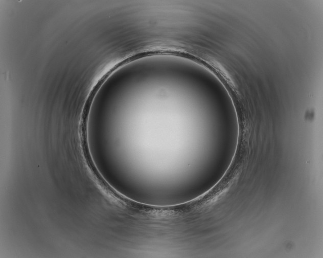 X0000091340893200708171408