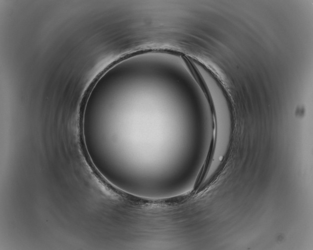 X0000091340894200708171408