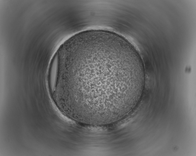 X0000091340895200708171408