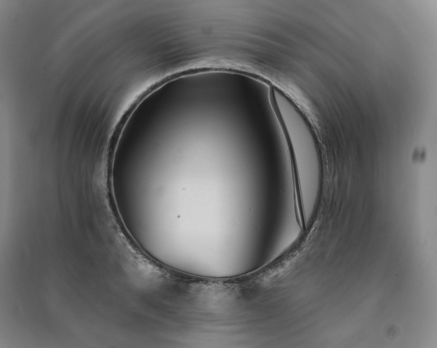 X0000091340896200708171408