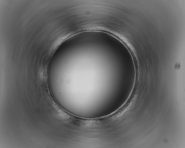 X0000091340897200708171408