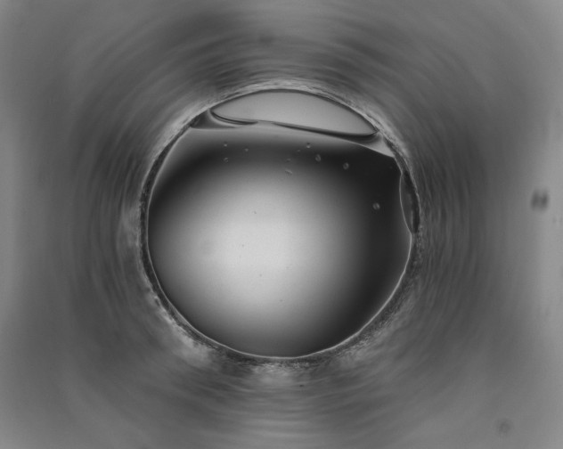 X0000091340898200708171408