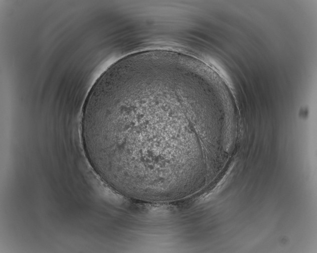 X0000091340899200708171408