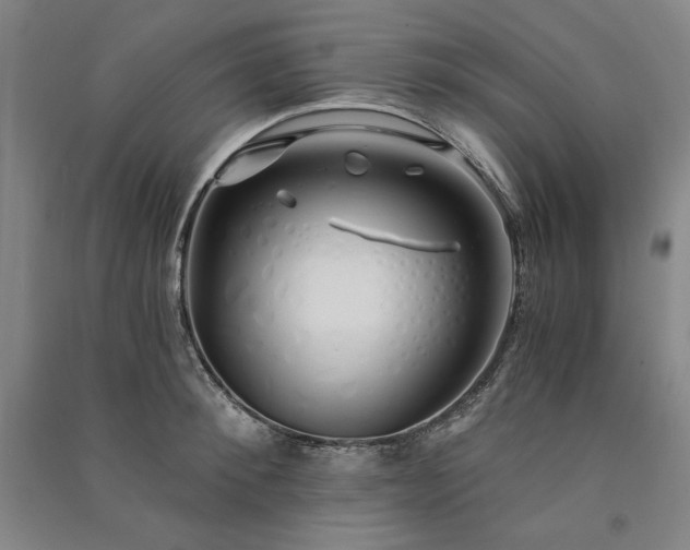 X0000091340900200708171408