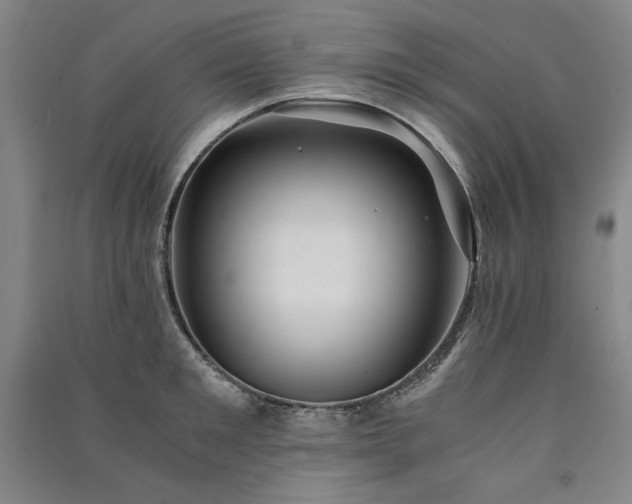 X0000091340901200708171408