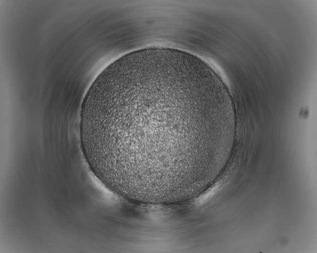 X0000091340903200708171408