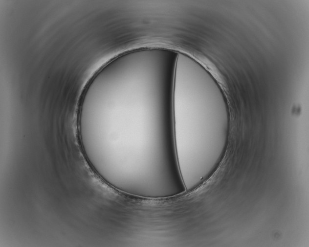 X0000091340904200708171408