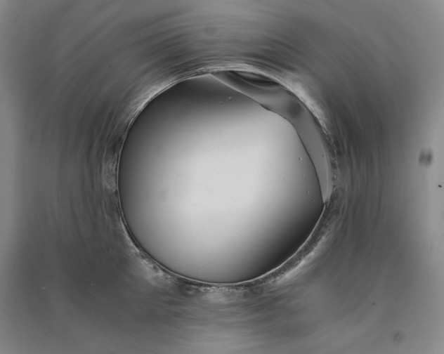 X0000091340905200708171408