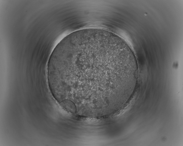 X0000091340907200708171408