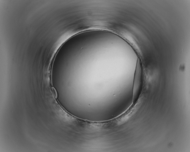 X0000091340908200708171408