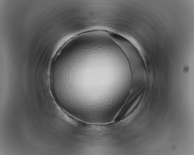 X0000091340910200708171408