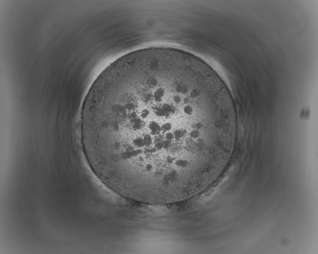 X0000091340911200708171408