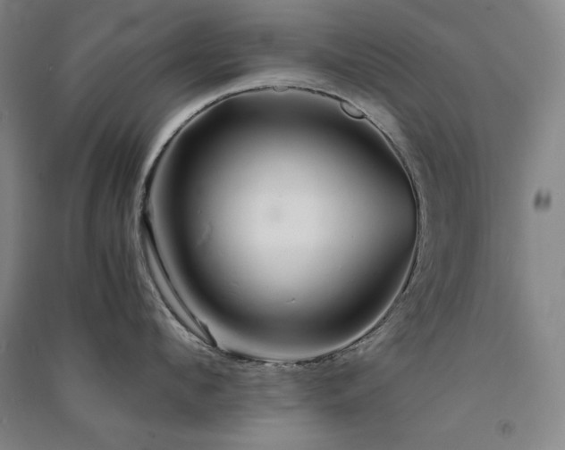 X0000091340912200708171408