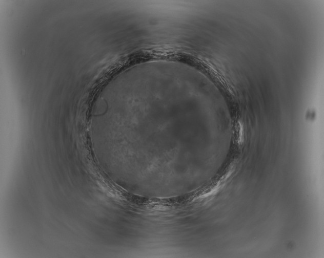 X0000091340913200708171408