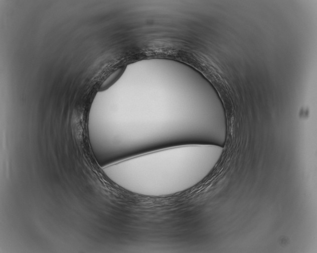 X0000091340915200708171408