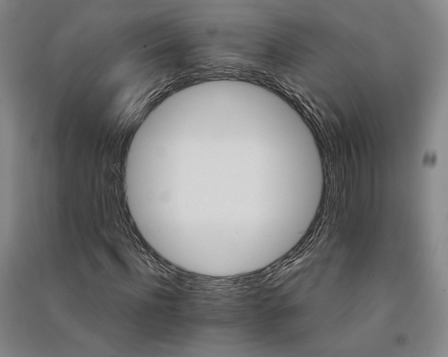 X0000091340916200708171408