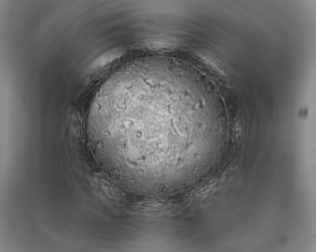 X0000091340917200708171408