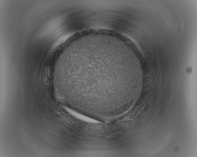 X0000091340919200708171408