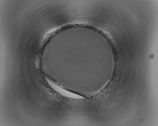 X0000091340920200708171408