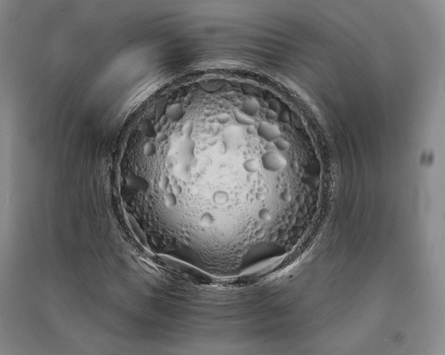 X0000091340921200708171408