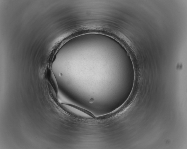 X0000091340922200708171408